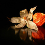 ..otevřený-zavřený..