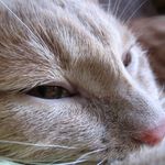 konečně se přestal hýbat