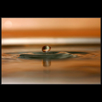 ... cinnamon dawn ...