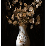 .......třeba uschlé zátiší?