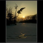 A zase ten Třemešek