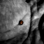 finally away from valley of darkness