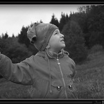 Tohle zvládnu levou zadní nebo snad levou přední