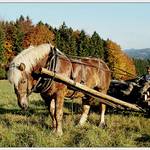 Pozdrav z Lužických hor