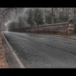 Sám aneb Mlžná cesta za královským skleníkem