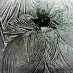 že by zimní skřítek  ?