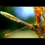 ...face to face...