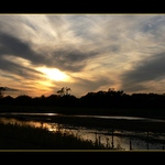 Večer v Golden Green