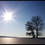 Na odpolední procházce