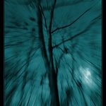 strach z nocneho lesa