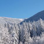 Pohled z okna