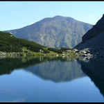 motyl z vrchov tatranskych
