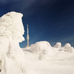 budoucnost na pradědu