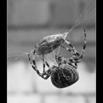 Ještě zabalit a sváča je hotova