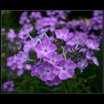 Už aby to venku vypadalo třeba takhle :-)