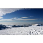 ***cestou necestou...***