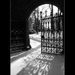 ***Vstříc lepším zítřkům***