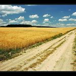 Trochu jihočeského tepla ...