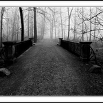 Návraty do veltruského parku IX/B