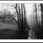 Návraty do veltruského parku IX/C