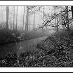 Návraty do veltruského parku IX/D