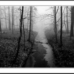 Návraty do veltruského parku IX/E