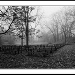 Návraty do veltruského parku IX/F