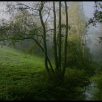 Návraty do veltruského parku X.