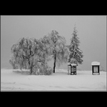 Pravá kozákovská zima