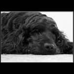 Nečum na mě s tou černou krabičkou!