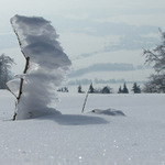 kam vitr tam namraza