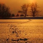 cestickou k zapadu...