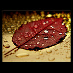 ***ZLATÝ DÉŠŤ***