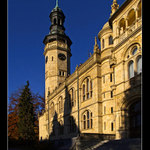 Muzeum