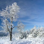 Lužické hory,Jedlová