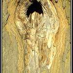 Kouzla matky přírody