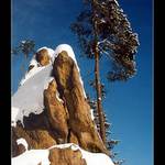 Rostu z písku a skal