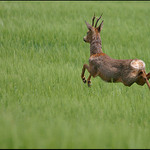 moc dlouho neotálel