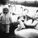 \"Ptačí chřipka...\" Co to je ???