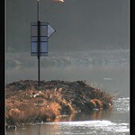 Fouká správným směrem