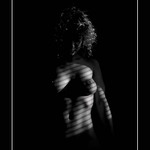 ...polední symfonie...