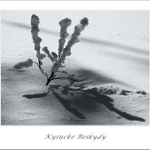 Na Veľkej Rači XII.