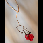 Šperk v rákosí II