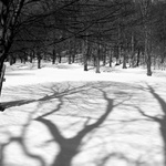 Huráá,  brzy bude jaro