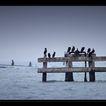 Benátska lagúna v zime