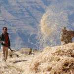 Zpracování obilí jako za starých časů