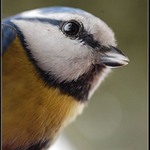 Tak jsem ji přece dostal.