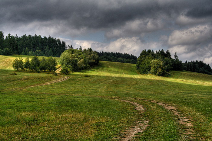 letní