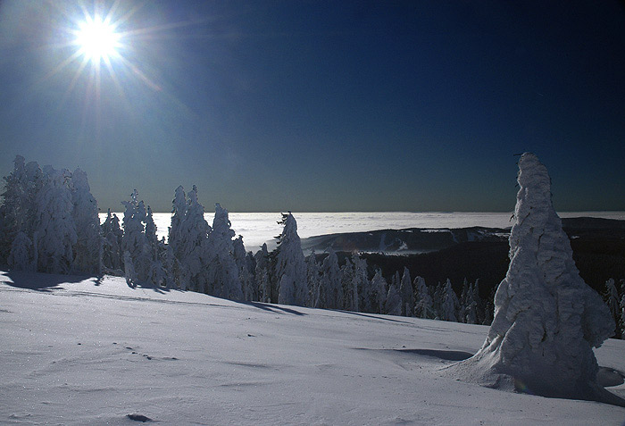 Pozdrav z Krušných hor