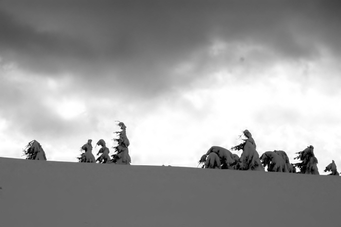 Poklona čaroději hory